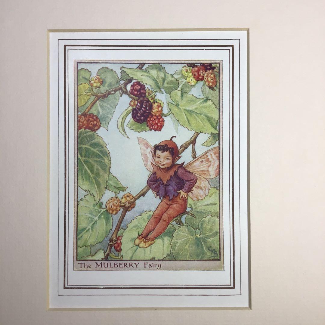 妖精画 フェアリーの額絵「桑」 シシリー・メアリー・バーカー