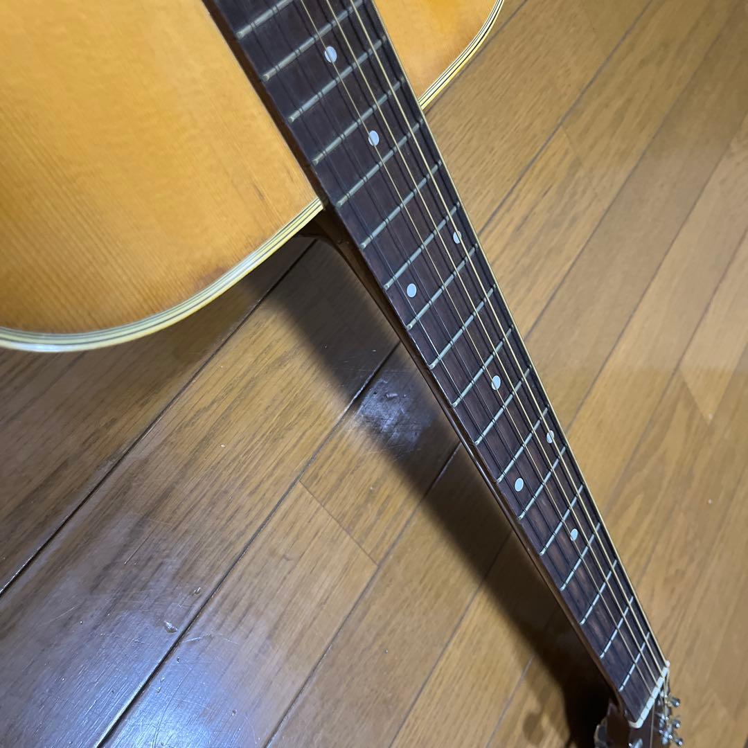 Morris W18 アコースティックギター