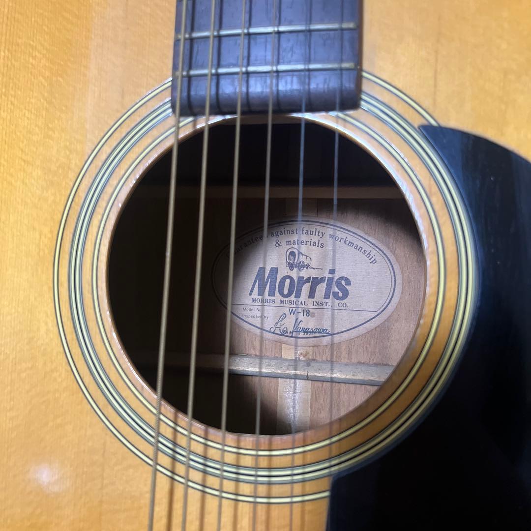 Morris W18 アコースティックギター