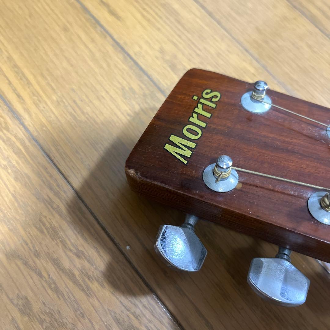 Morris W18 アコースティックギター