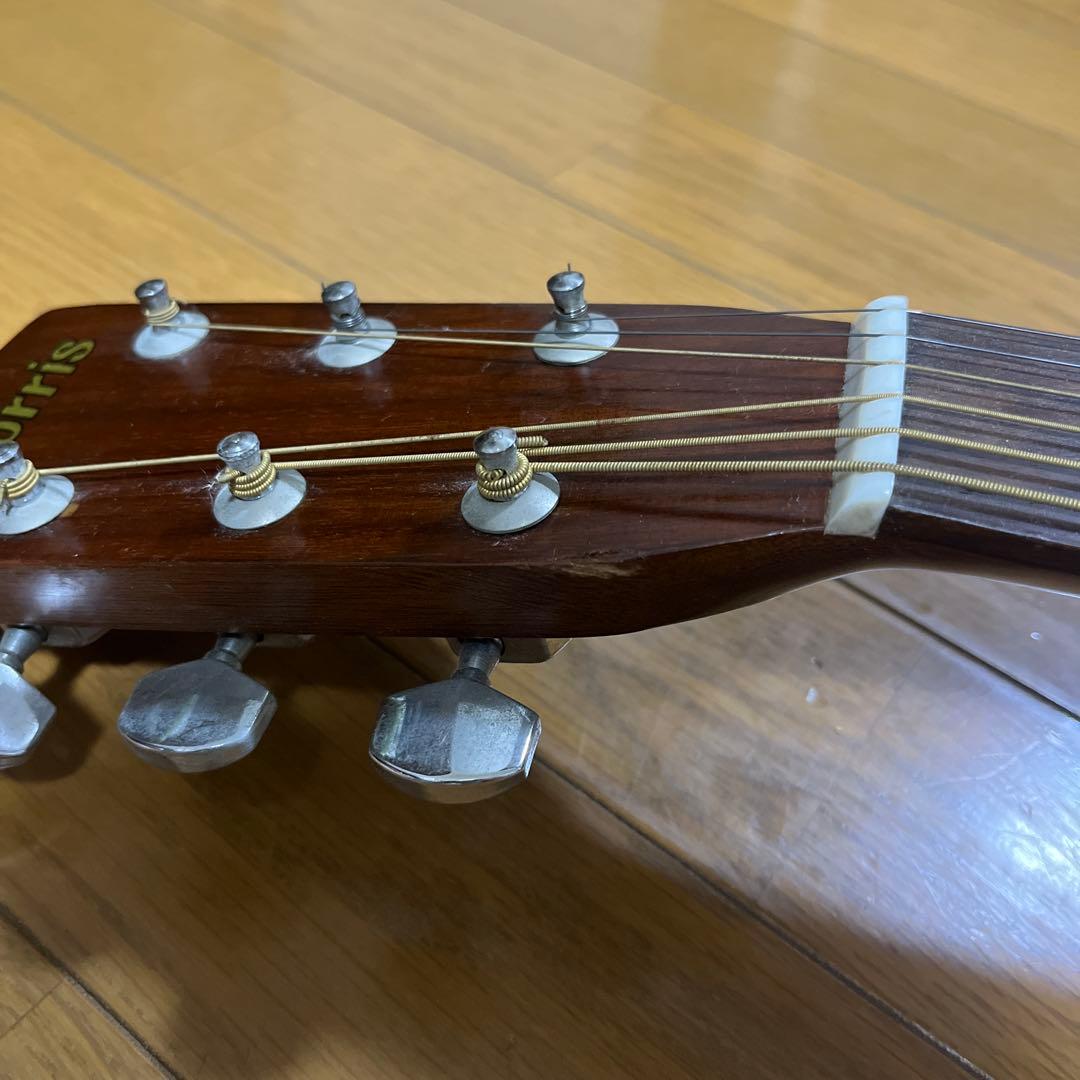 Morris W18 アコースティックギター