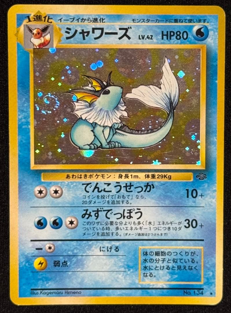 旧裏　ポケモンカード　イーブイ進化セット わるい3種 & キラ3種 コンプリート