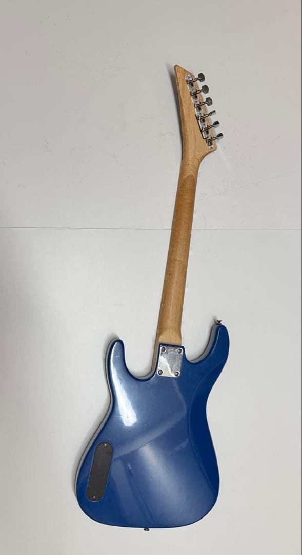 フォトジェニック　24フレット　エレキギター