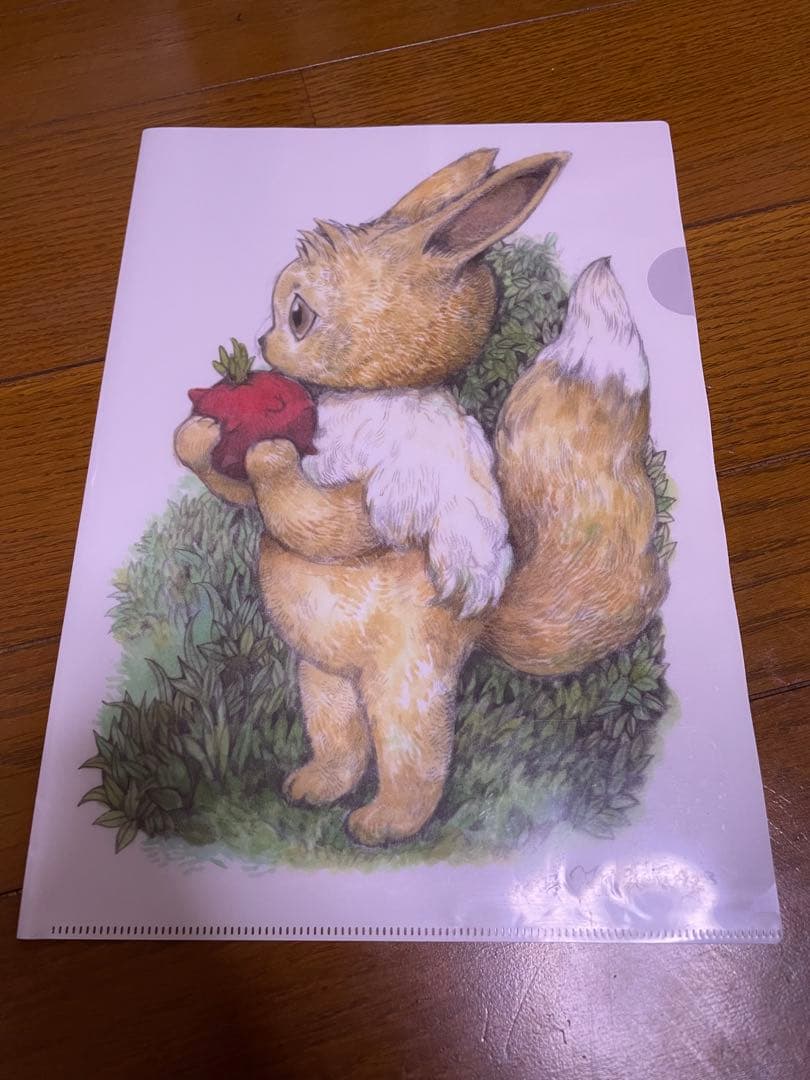 ヒグチユウコ　ポケモン　イーブイ　クリアファイル　5枚セット