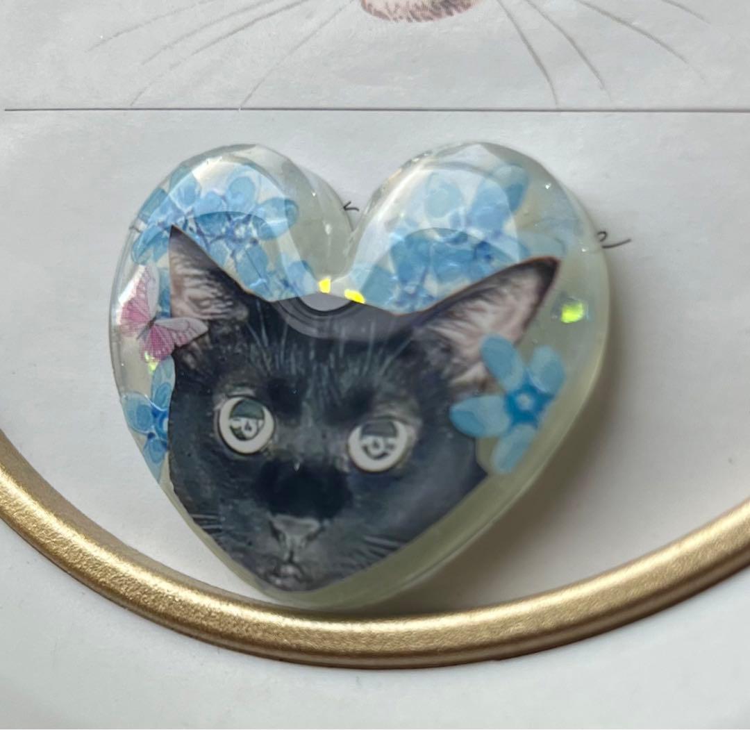 感謝価格(‗- ·̫ -‗^)ꪆ  ❤︎黒猫ちゃんと紫陽花