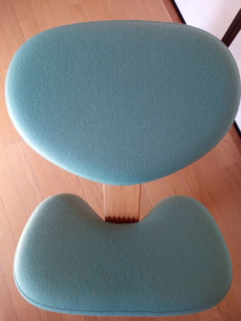 リボ社 バランスチェアイージー 替えカバー付き