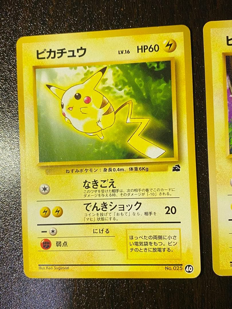 旧裏 イントロパック ピカチュウ 2種　希少　フシギダネマーク NO.25
