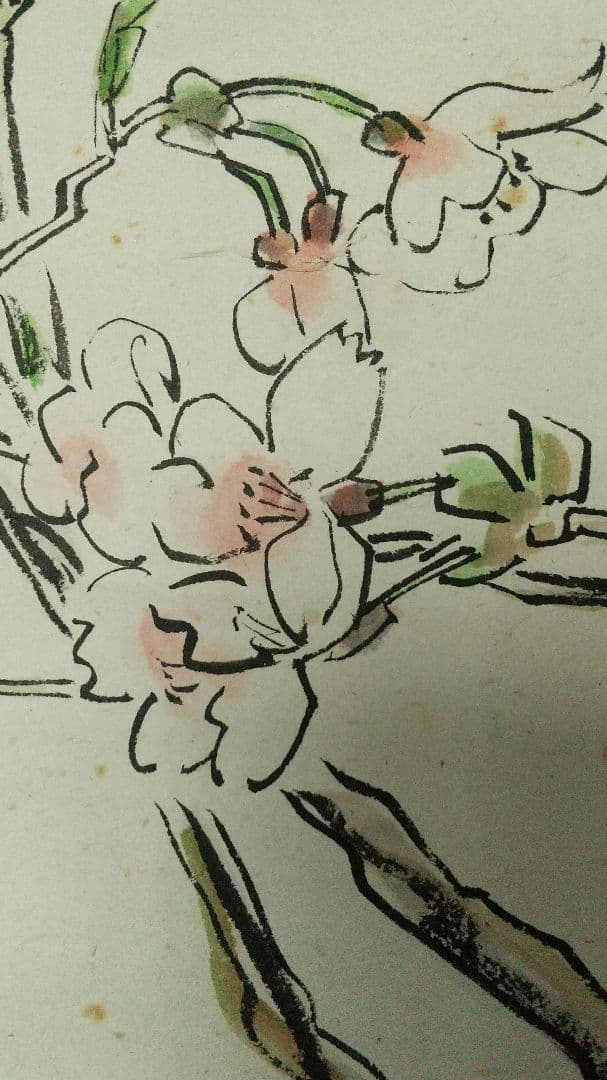 女流俳人 長谷川かな女 洋画家伊藤慶之助画 肉筆掛軸 表具傷みあり 花梨