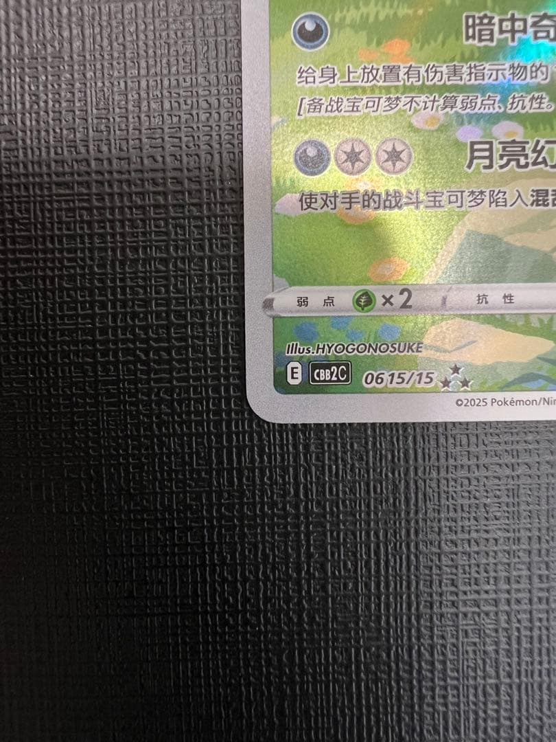 ブラッキー AR [CBB2C 06 15/15]【中国語版】