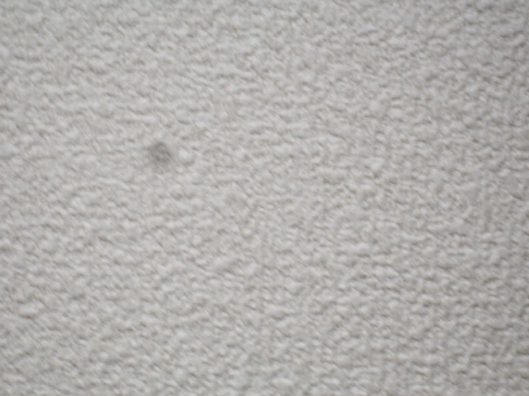 【完動品】Canon IXY Digital 600 デジタルカメラ