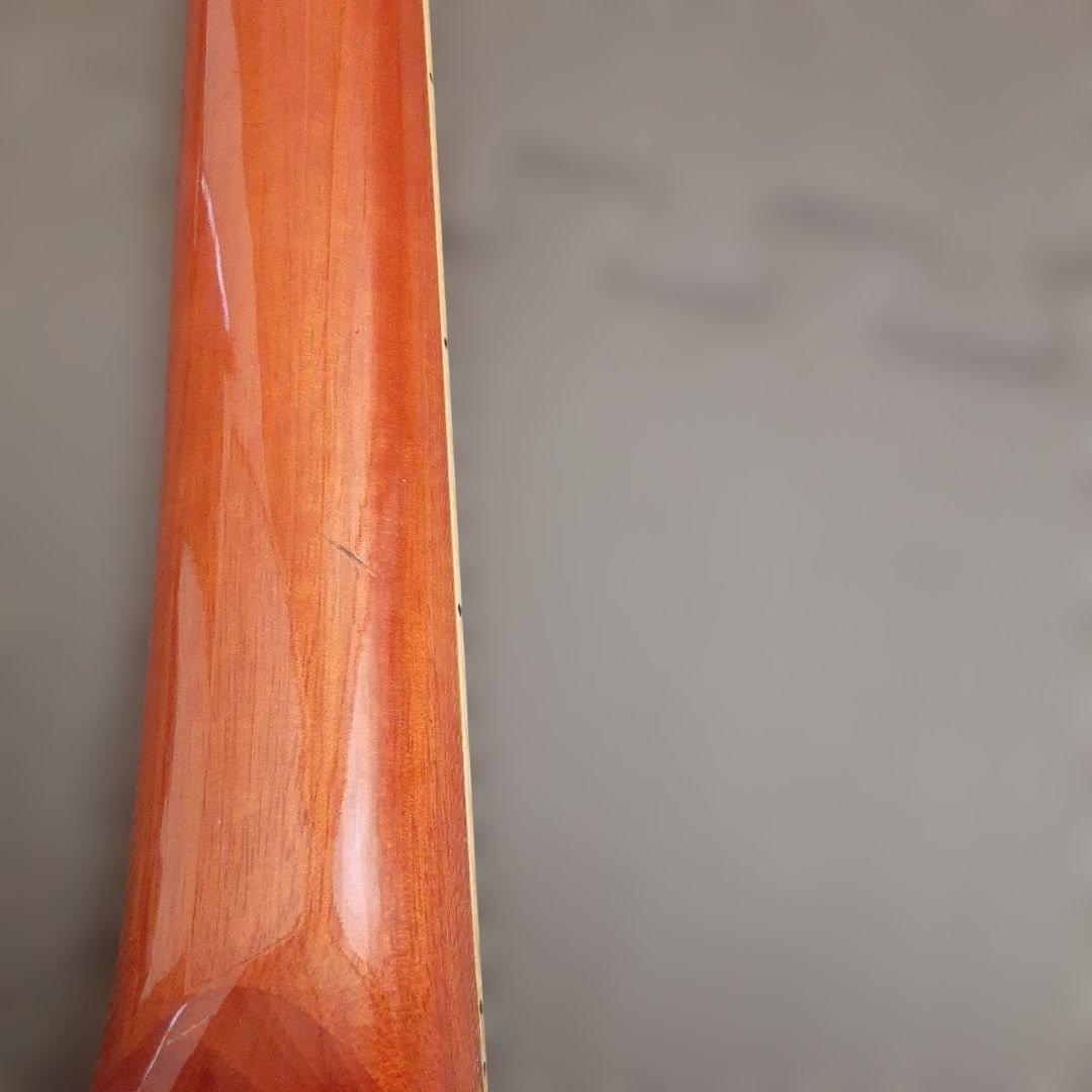 Fina 　FAW 800NTアコースティックギター カッタウェイ