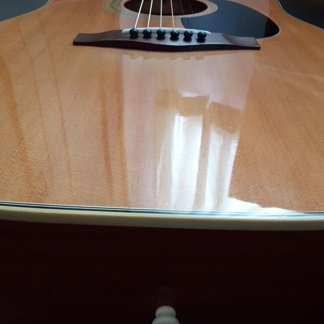 Fina 　FAW 800NTアコースティックギター カッタウェイ