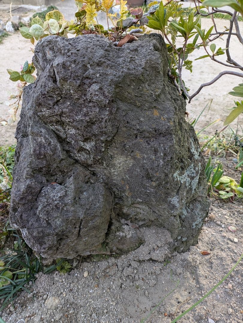 軽石 火山岩