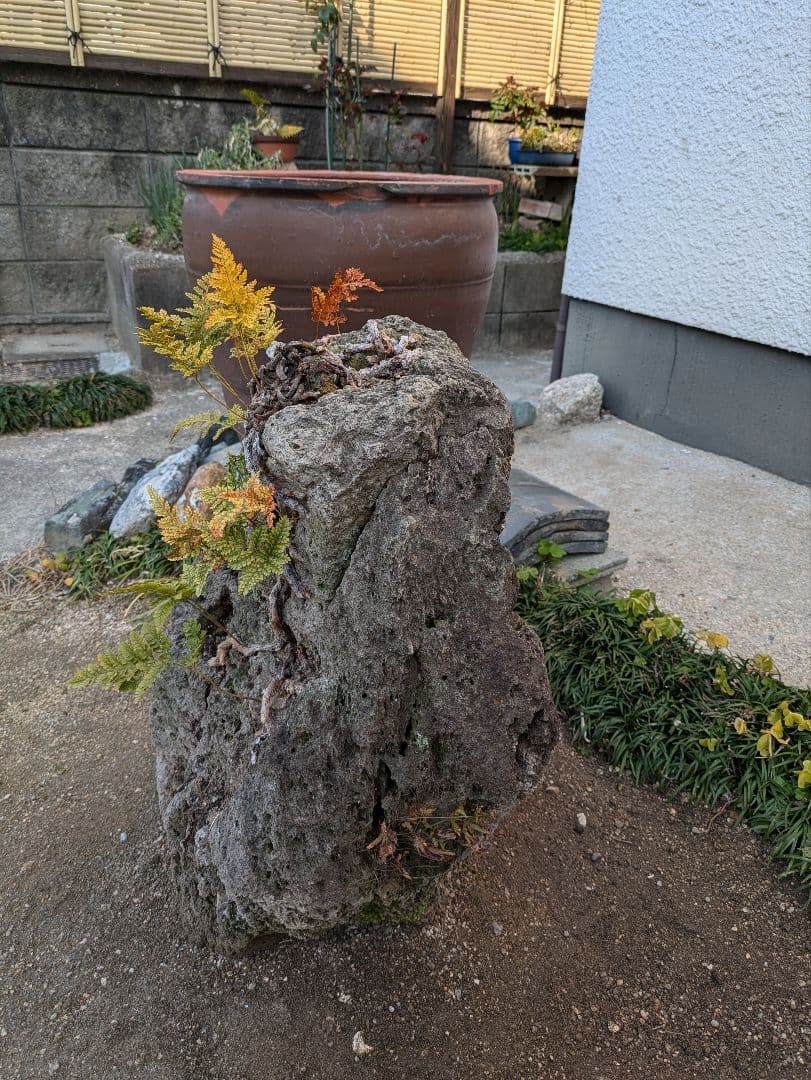 軽石 火山岩
