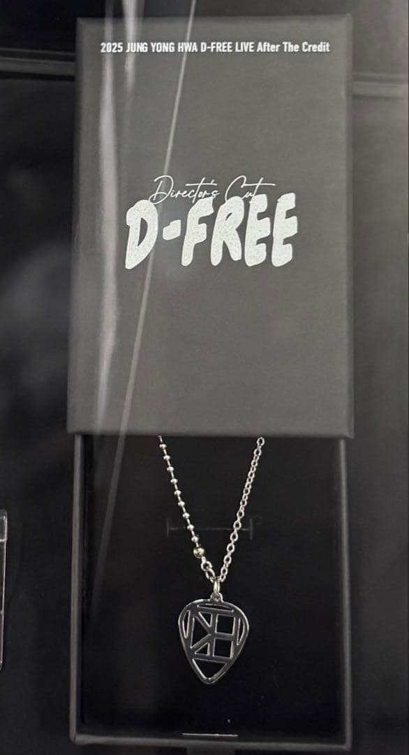 ヨンファ ネックレス ソウルコン CNBLUE