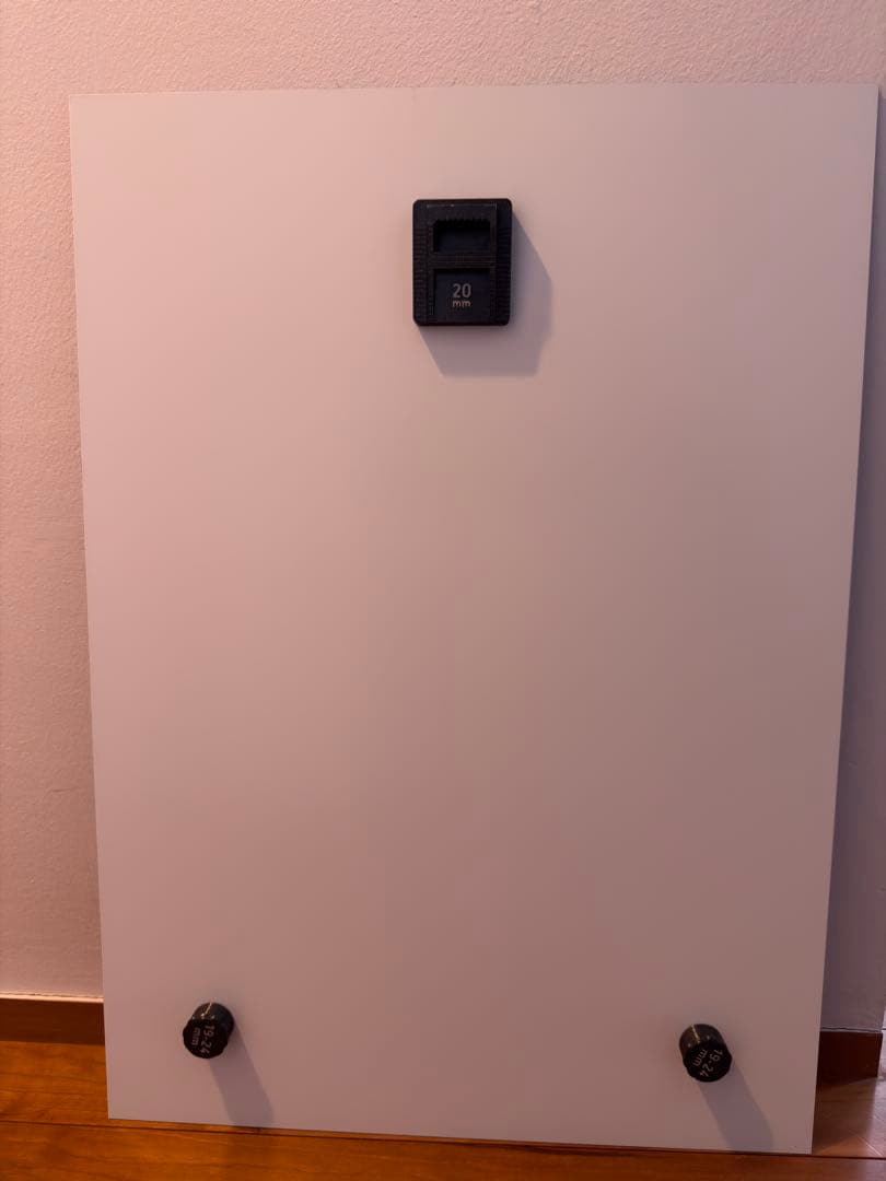 希少　Akira アキラ　ラストシーン　リトグラフ アルミ製