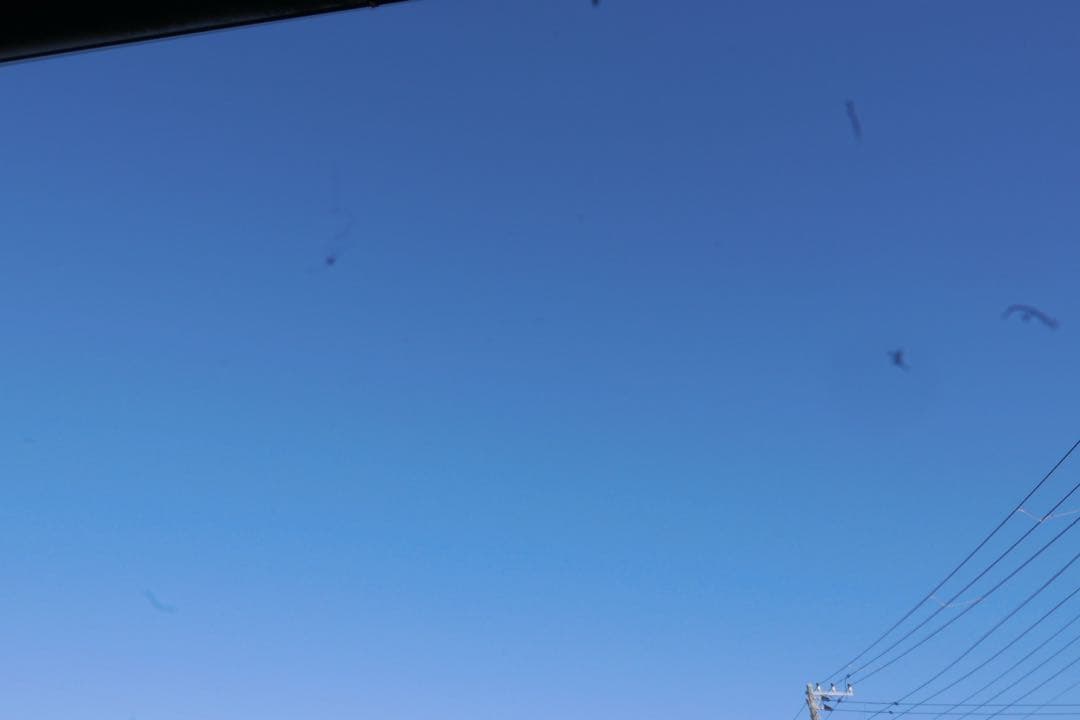 【訳あり】Leicaライカデジタルカメラ D_LUX typ109