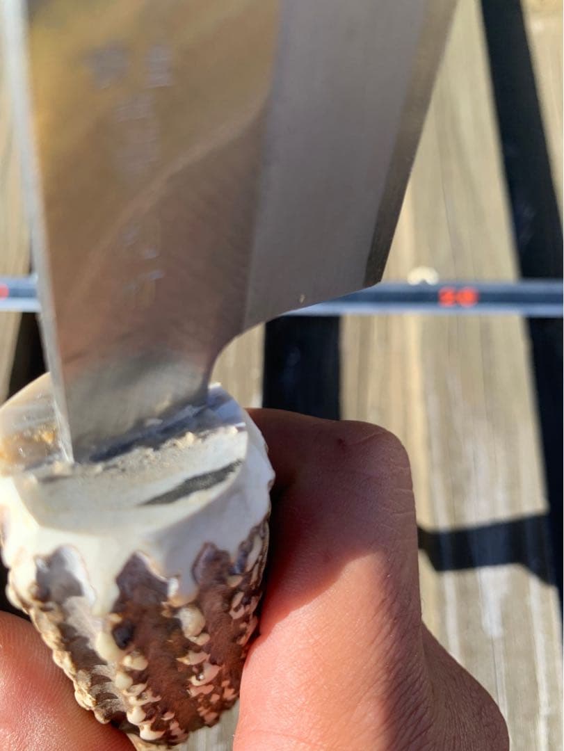 舟行包丁　漁師包丁　鹿のツノ　間切り　漁師マキリ