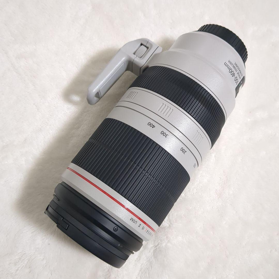 ぬ*し様 CANON　EF100-400mm F4.5-5.6L IS II U