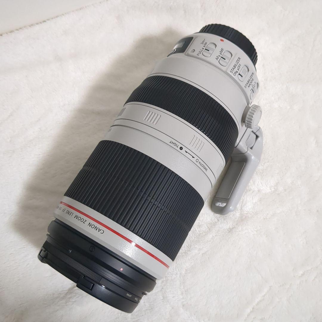 ぬ*し様 CANON　EF100-400mm F4.5-5.6L IS II U