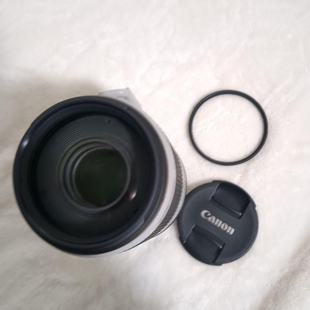 ぬ*し様 CANON　EF100-400mm F4.5-5.6L IS II U