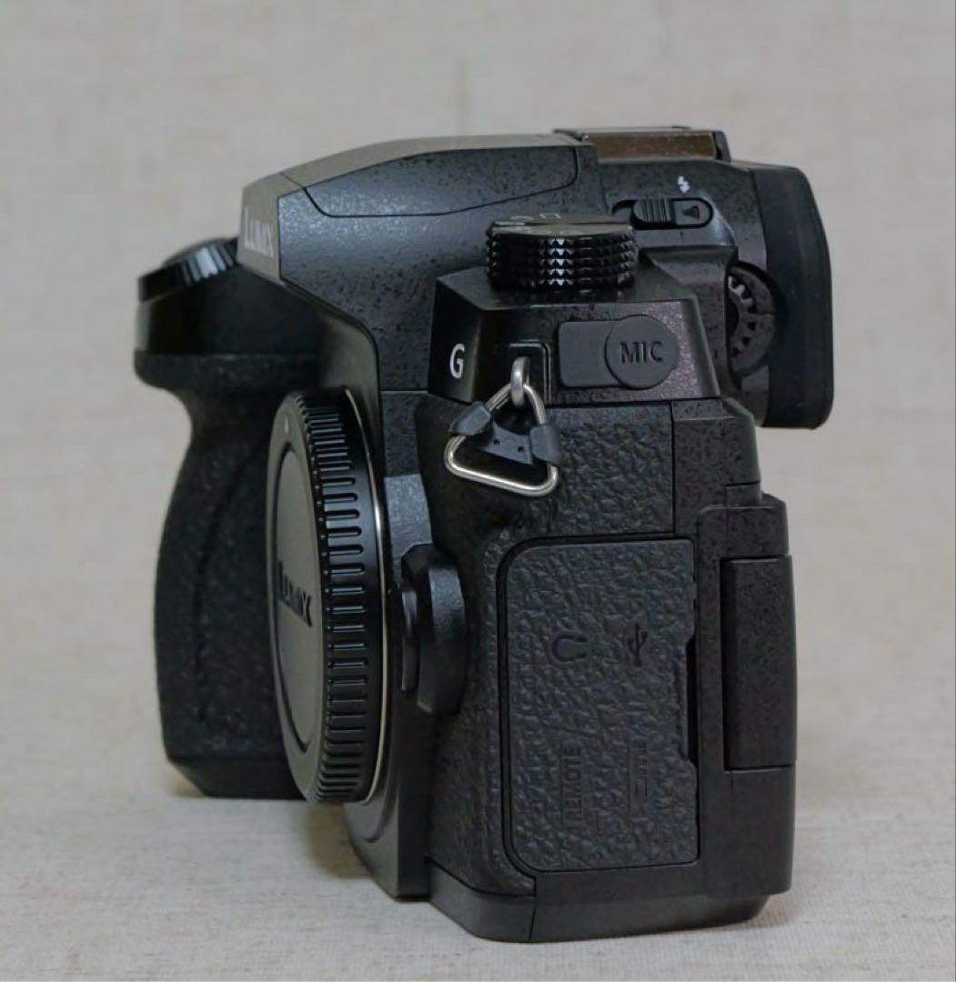 パナソニック LUMIX DC-G99D ボディ バッテリー2個 充電器付き