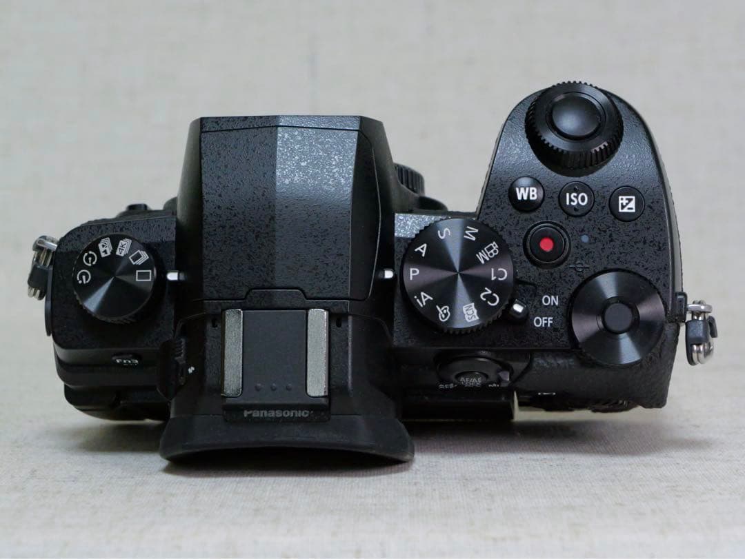 パナソニック LUMIX DC-G99D ボディ バッテリー2個 充電器付き