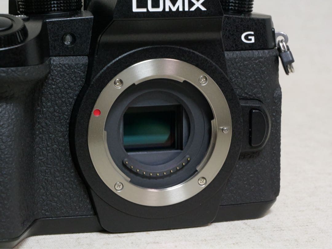 パナソニック LUMIX DC-G99D ボディ バッテリー2個 充電器付き