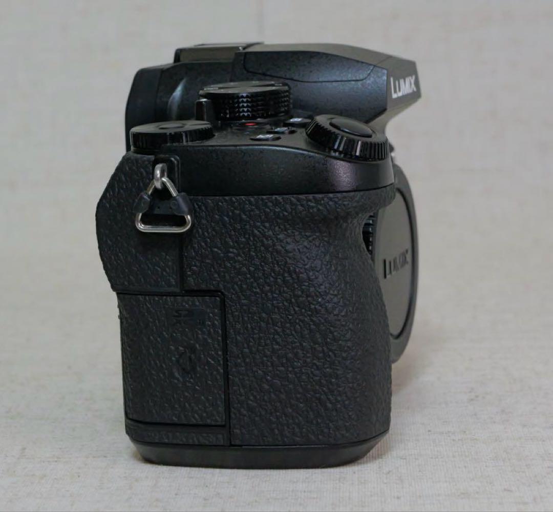 パナソニック LUMIX DC-G99D ボディ バッテリー2個 充電器付き