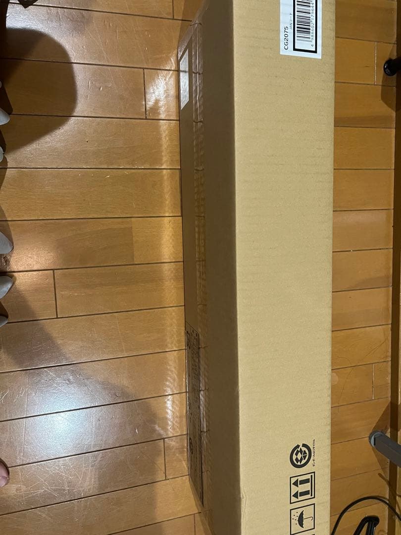 最安値　ラーの翼神竜　掛軸　遊戯王