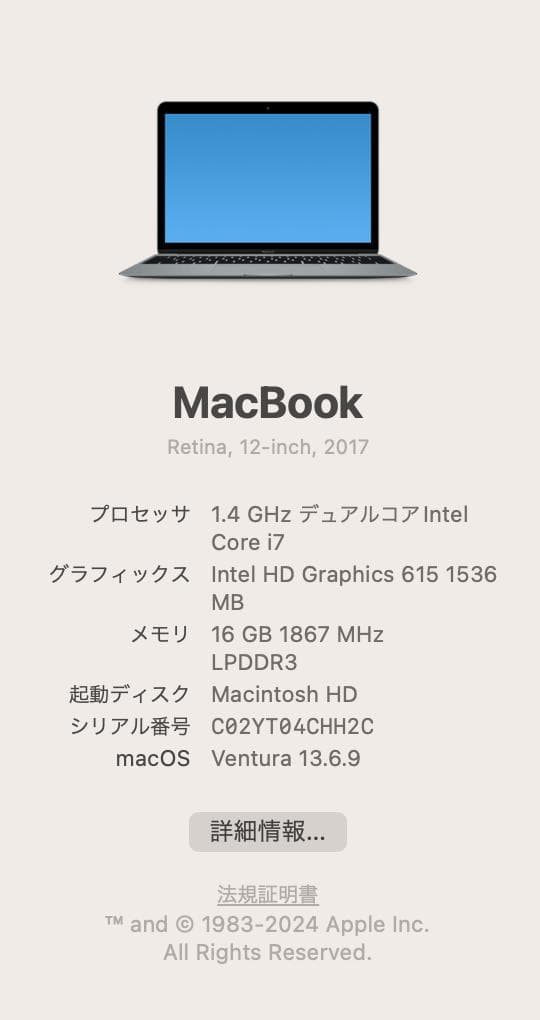 MacBook Retina 12インチ 2017 本体（ACアダプターなし）
