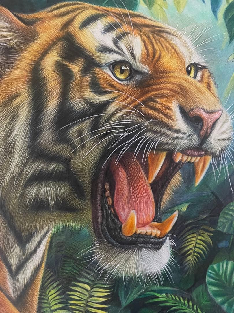 色鉛筆画A4 虎.20