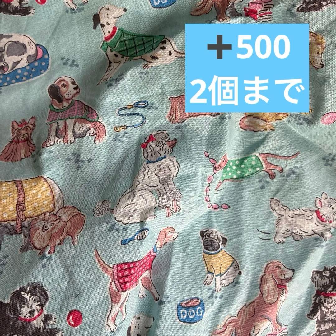 生地見シーチング