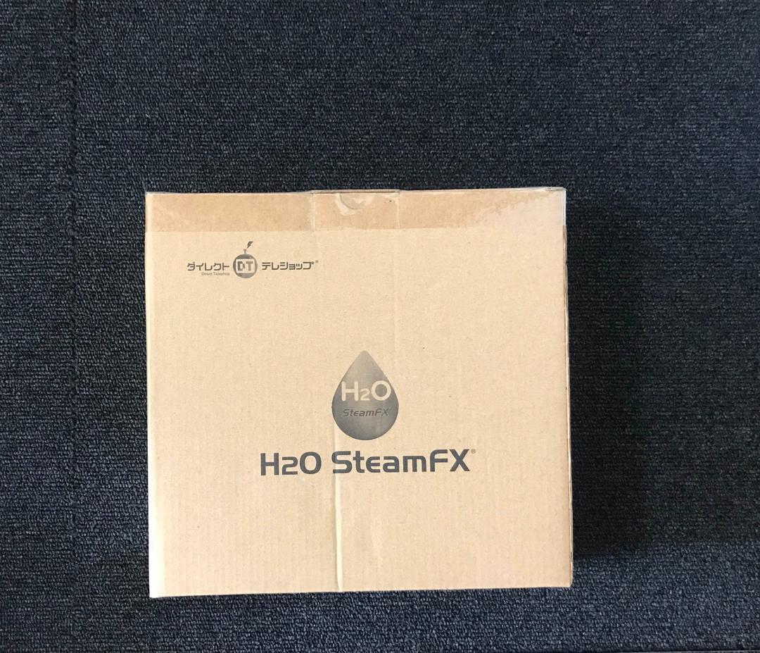 【超美品】Steam FX スチーム エフエックフ