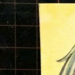 mioka イラストオーダー　リクエスト