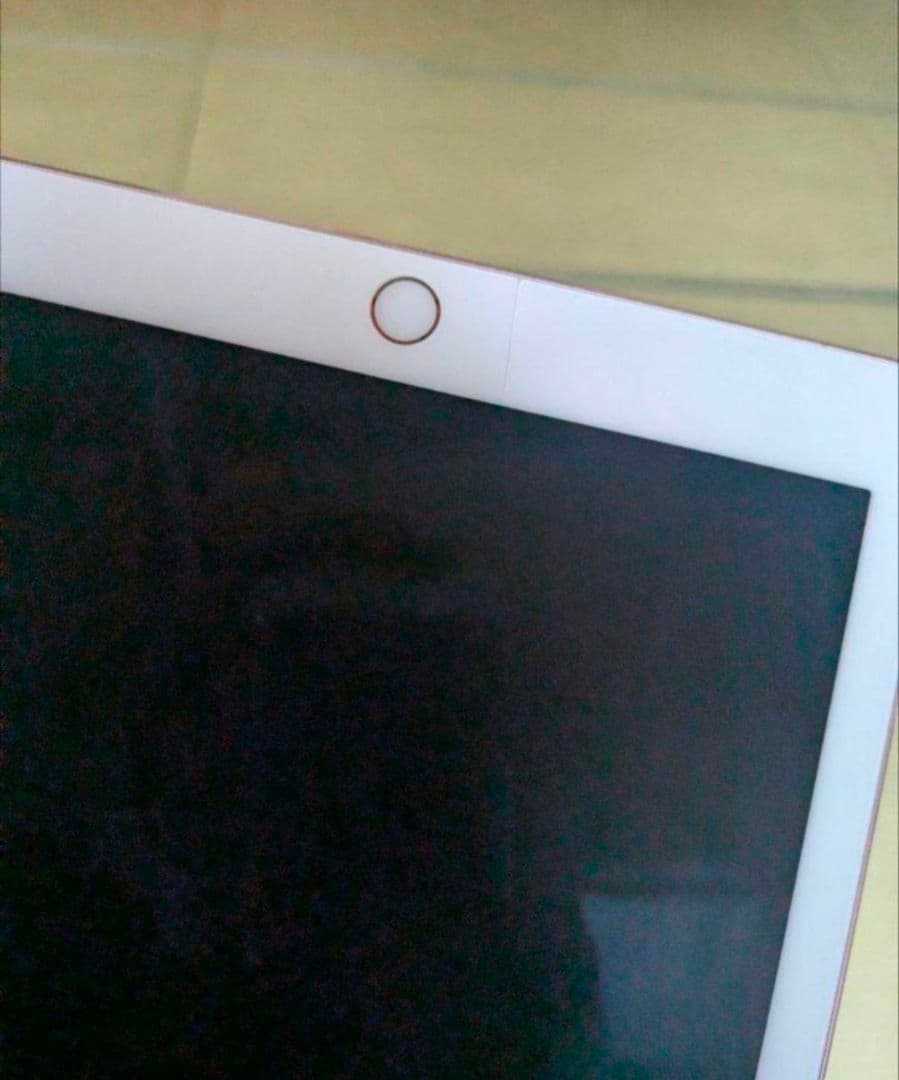 す*Q様 iPad Pro 9.7インチ 32GB