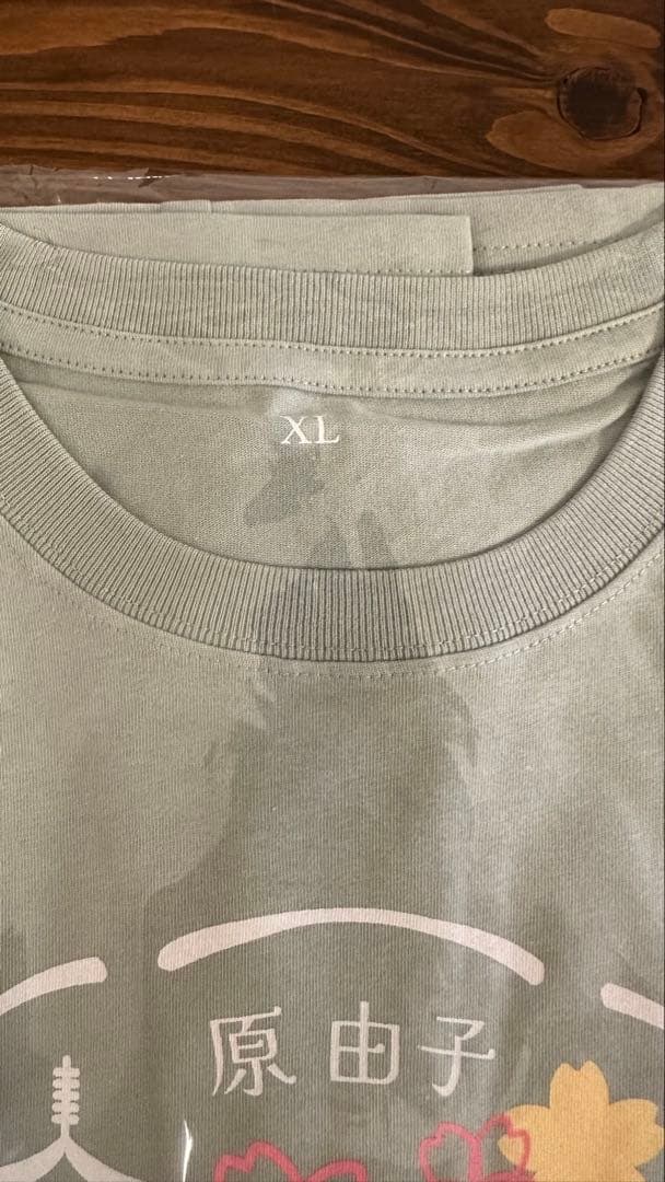 【即日発送 原由子ライブ2026オフィシャルTシャツ(グリーンXLサイズ)】