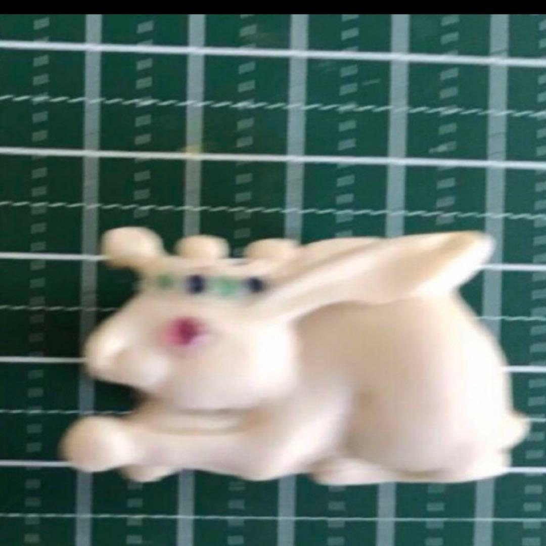 【種名　日本鹿の角】 手彫り帯留め　⭐️輝く瞳の兎王⭐️ ☆匿名☆