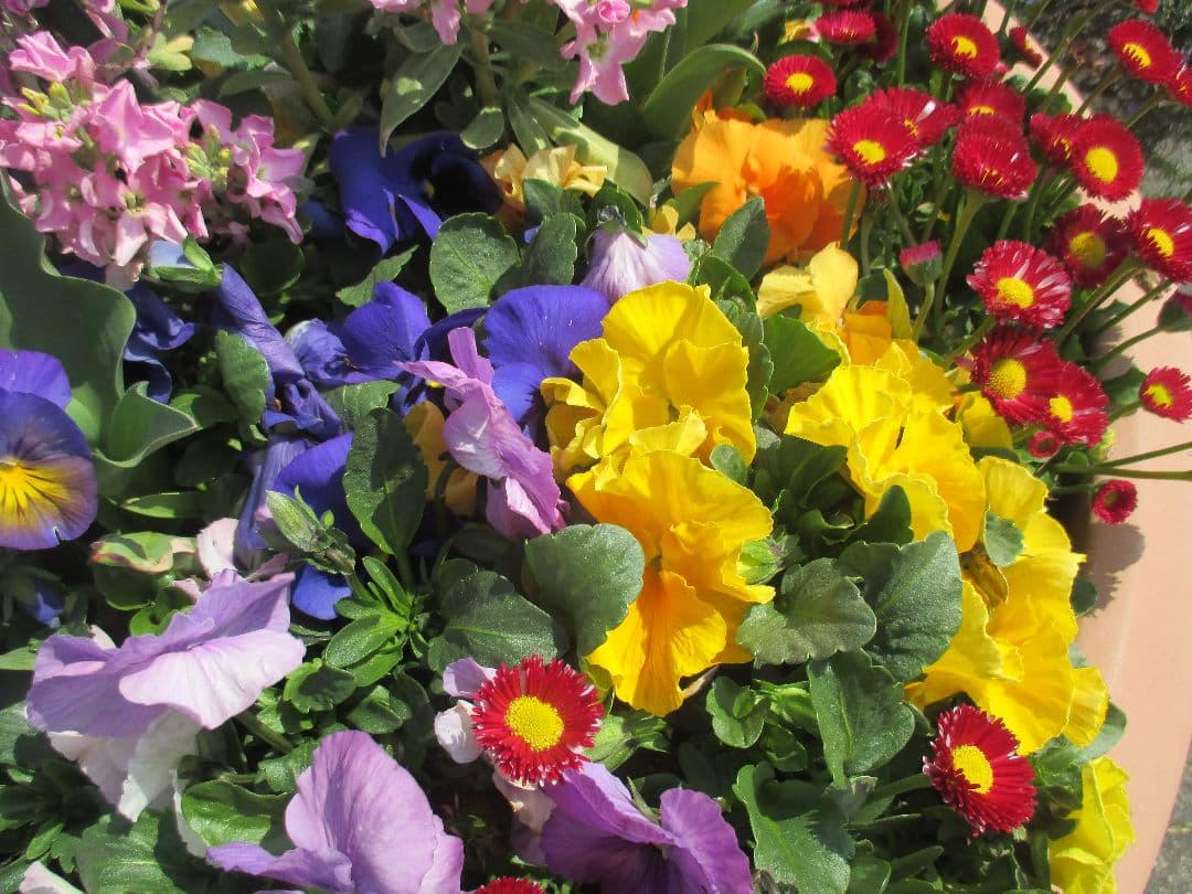 【美品/動作確認済】Canon IXY 120 ブラック オールドコンデジ