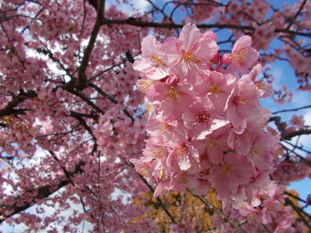 追加あり⭕️乾電池式【動作確認済】Nikon COOLPIX A10　シルバー