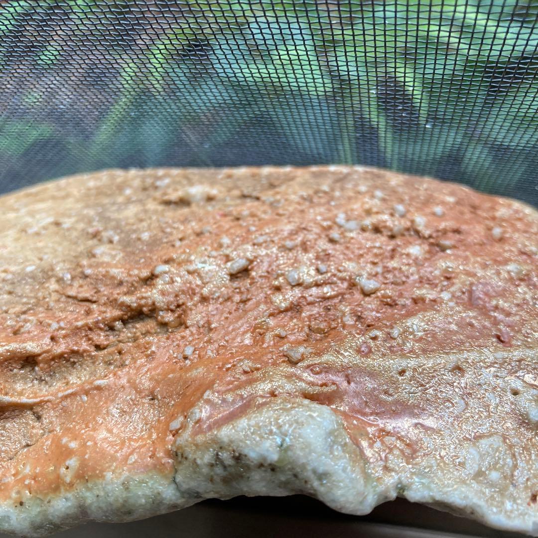 自然秞焼き締めの器