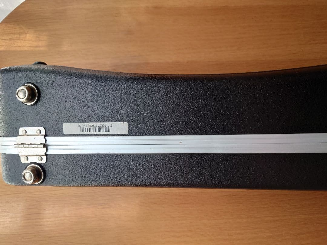 SKB-300 ミニギター・薄型アコギ用ハードケース【リトルマーチン等に】