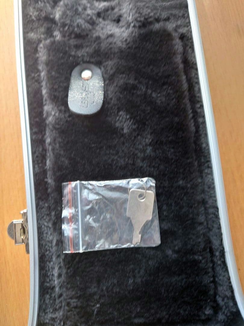 SKB-300 ミニギター・薄型アコギ用ハードケース【リトルマーチン等に】