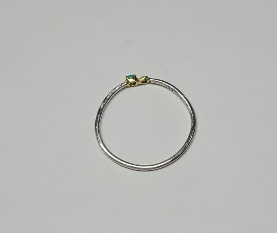 チコオーダーページ