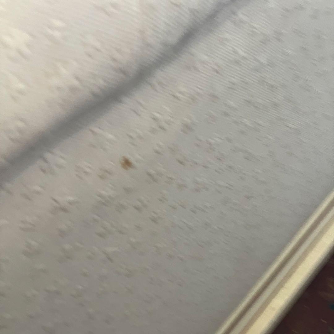 creations Curci Paris ロココ様式 木製 3人掛けソファー