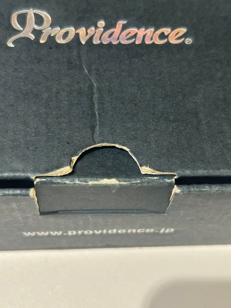 極美品 Providence CHRONO DELAY 箱・アダプター付