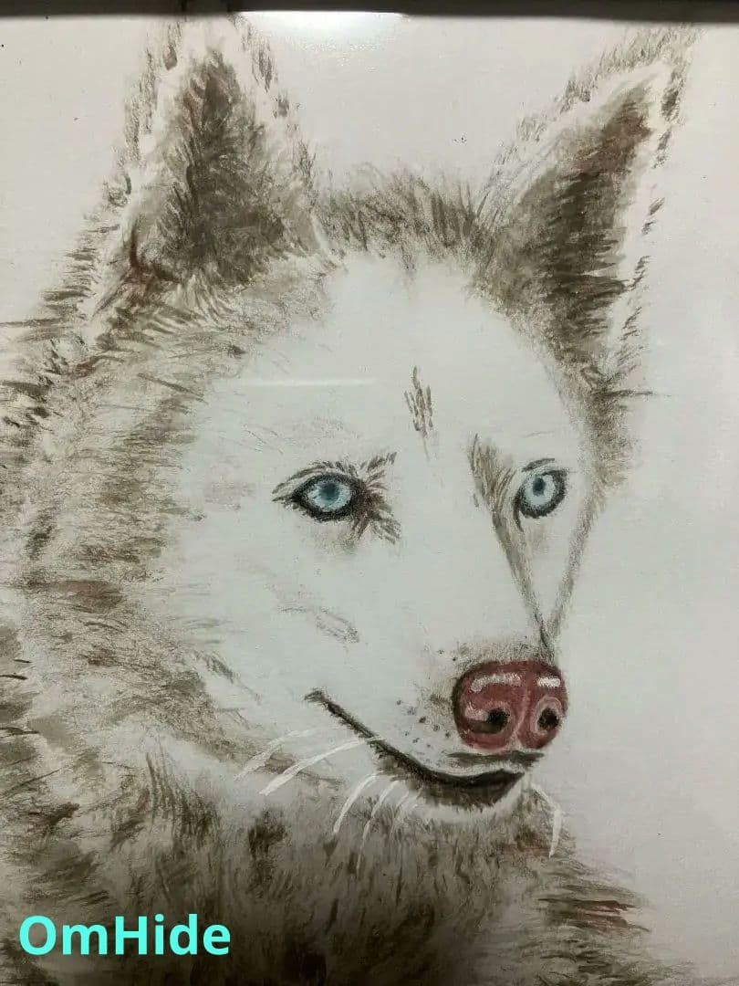 ◆絵画　青い目の犬
