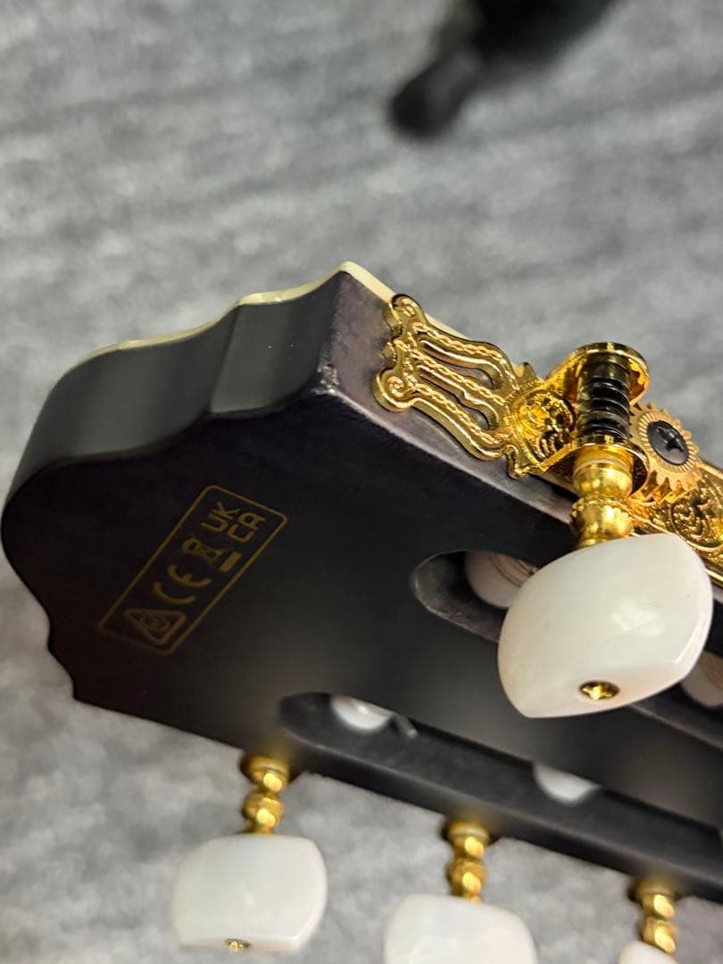 ibanez TOD10N ティム・ヘンソン　新ロゴ　エレガット