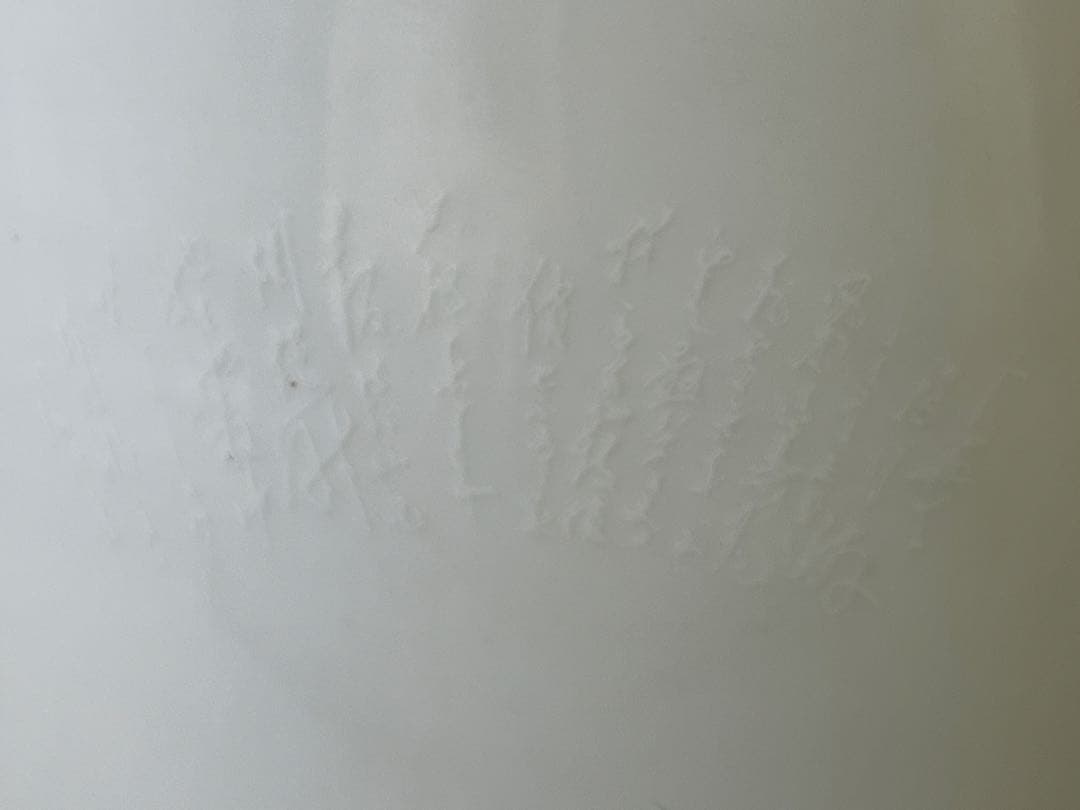 DT755 中国 色絵 内絵 瓶