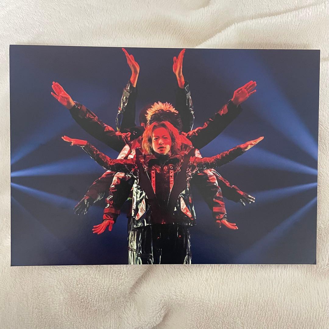 PRIMAL SPIDER 山本彰吾　パネル